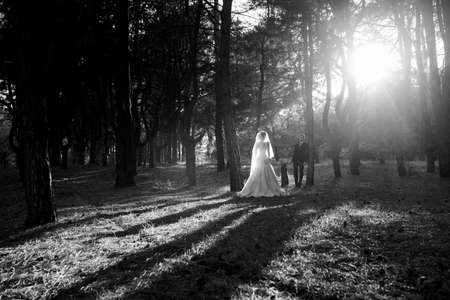 walk of the bride and groom through the autumn forest in Octoberの写真素材
