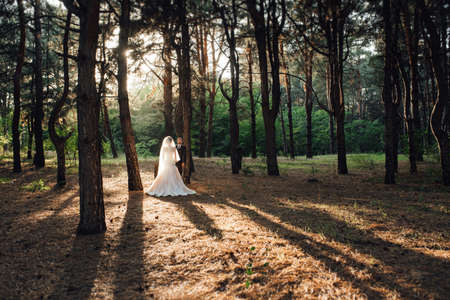 walk of the bride and groom through the autumn forest in Octoberの写真素材