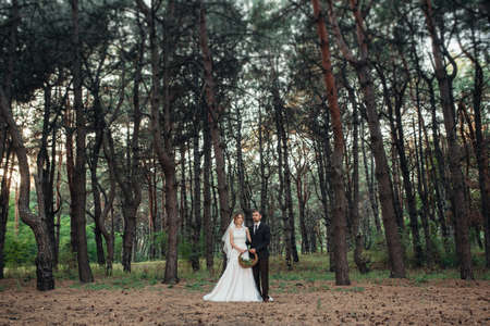 walk of the bride and groom through the autumn forest in Octoberの写真素材