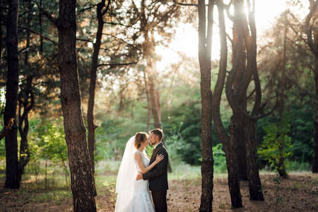 walk of the bride and groom through the autumn forest in Octoberの写真素材