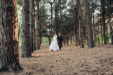 walk of the bride and groom through the autumn forest in Octoberの写真素材