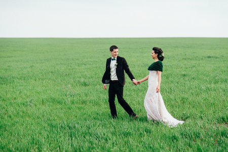 the groom in a brown suit and the bride in an ivory-colored dress on a green field receding into the distance against the skyの写真素材