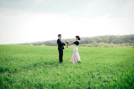 the groom in a brown suit and the bride in an ivory-colored dress on a green field receding into the distance against the skyの写真素材