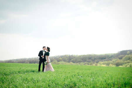 the groom in a brown suit and the bride in an ivory-colored dress on a green field receding into the distance against the skyの写真素材