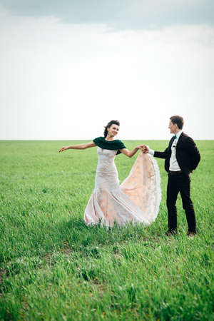 the groom in a brown suit and the bride in an ivory-colored dress on a green field receding into the distance against the skyの写真素材