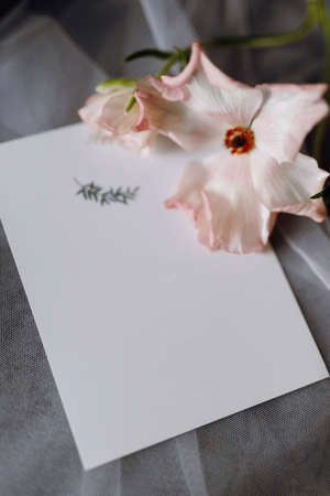 wedding invitation in a gray envelope on a table with green sprigsの写真素材
