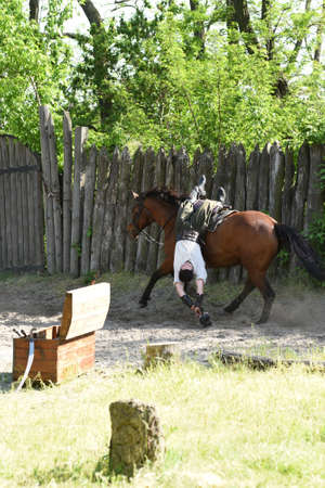Zaporozhye Cossacks from the Zaporozhye army in national costumes on horsebackのeditorial素材
