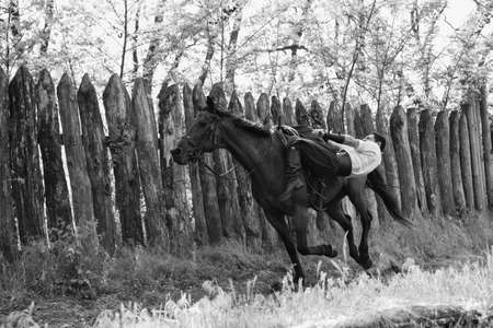 Zaporozhye Cossacks from the Zaporozhye army in national costumes on horsebackのeditorial素材
