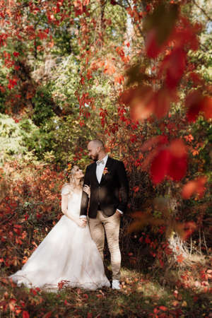walk of the bride and groom through the autumn forest in Octoberの写真素材
