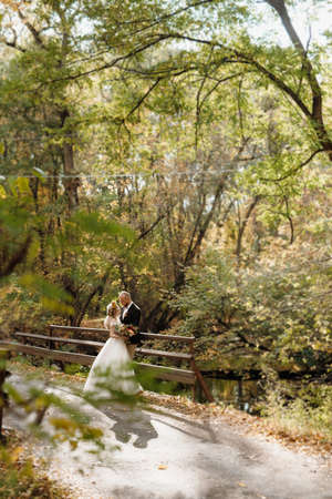 walk of the bride and groom through the autumn forest in Octoberの写真素材