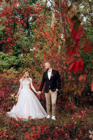 walk of the bride and groom through the autumn forest in Octoberの写真素材