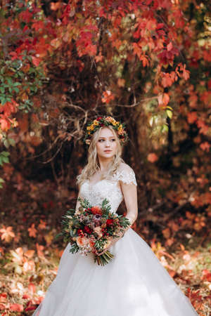 blonde girl in a wedding dress in the autumn forest against the background of wild red grapesの写真素材