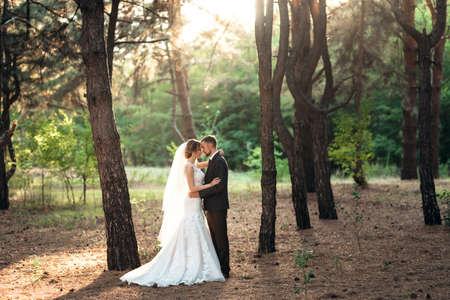 walk of the bride and groom through the autumn forest in Octoberの写真素材