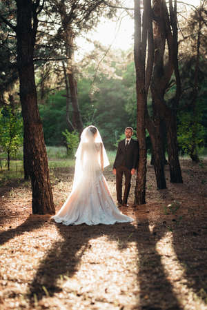 walk of the bride and groom through the autumn forest in Octoberの写真素材