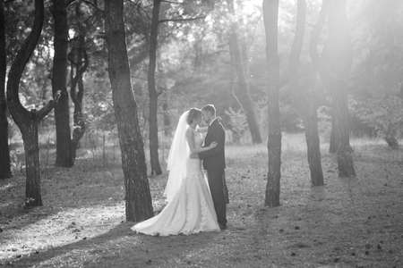 walk of the bride and groom through the autumn forest in Octoberの写真素材
