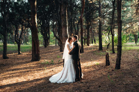 walk of the bride and groom through the autumn forest in Octoberの写真素材