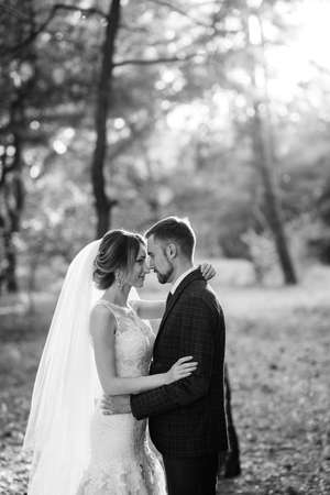 walk of the bride and groom through the autumn forest in Octoberの写真素材