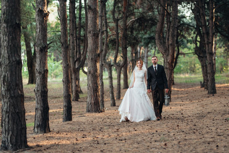 walk of the bride and groom through the autumn forest in Octoberの写真素材