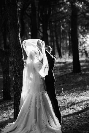 walk of the bride and groom through the autumn forest in Octoberの写真素材