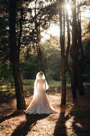 girl in a wedding dress in the autumn forest against the background of wild treesの写真素材