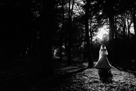 girl in a wedding dress in the autumn forest against the background of wild treesの写真素材