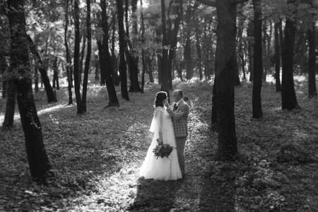 walk of the bride and groom through the autumn forest in Octoberの写真素材