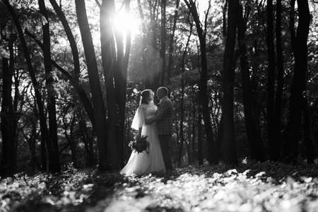 walk of the bride and groom through the autumn forest in Octoberの写真素材