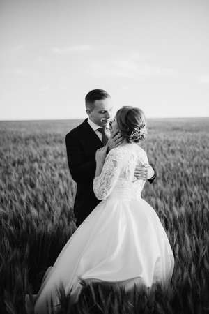 the groom and the bride walk along the wheat green field on a bright dayの写真素材