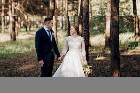 the bride and groom are walking in a pine forest on a bright dayの写真素材