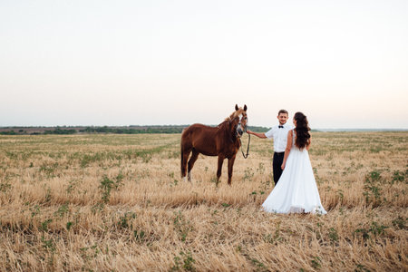 the bride in a white dress and the groom in a white shirt on a walk with brown horsesの写真素材