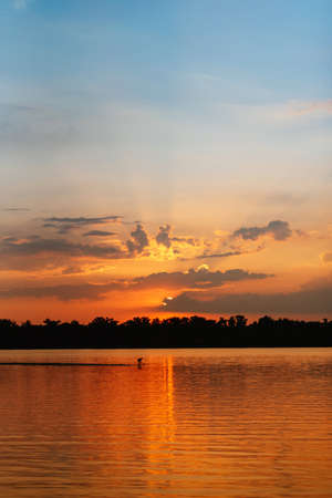 orange sunset on the river with tree silhouettesの写真素材