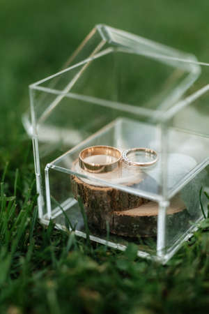 gold wedding rings as an attribute of a young couple's wedding