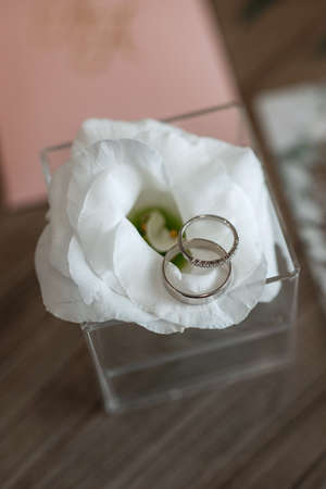 gold wedding rings with a wedding decor