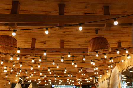 atmospheric warm light bulbs wrapped in garlands to decorate the holiday