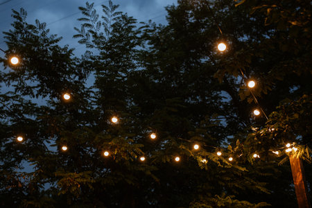 atmospheric warm light bulbs wrapped in garlands to decorate the holiday