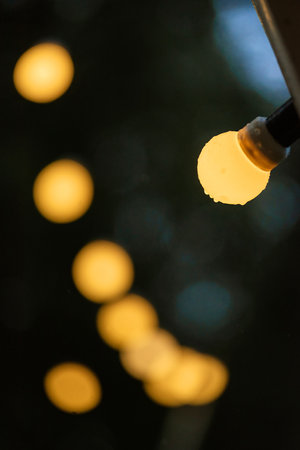 atmospheric warm light bulbs wrapped in garlands to decorate the holidayの写真素材