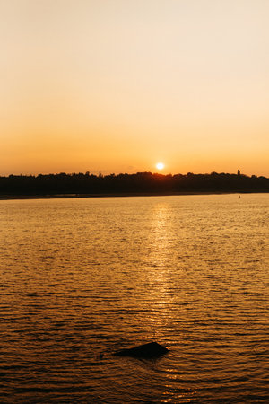 orange sunset on the river with tree silhouettesの写真素材