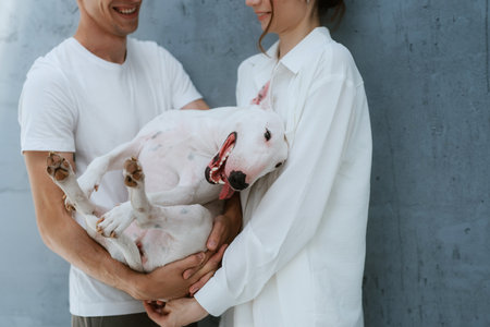 white dog with smooth fur in a light white roomの写真素材