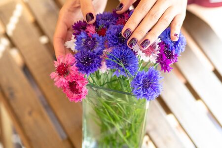 Hands with purple manicure on the nails against the background of cornflowersの写真素材