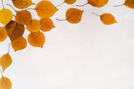 Flatlay composition text frame autumn yellow leaves white relief background
