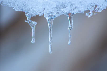 Winter view from inside Lensball held by a person in black gloves.