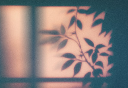 The shadow of the plant on the wall in the morning light.