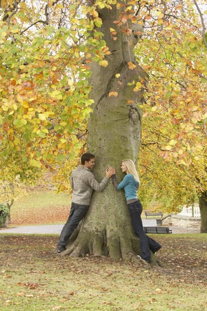 Romantic Teenage Couple By Tree In Autumn Parkの写真素材