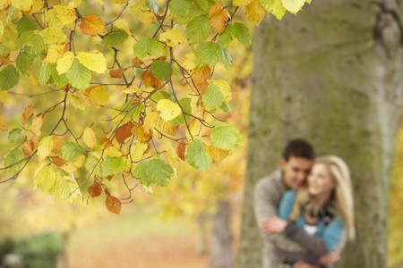 Shallow Focus View Of Romantic Teenage Couple By Tree In Autumn Parkの写真素材