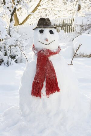 Snowman In Gardenの写真素材