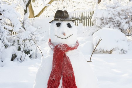 Snowman In Gardenの写真素材