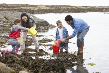 Young family at beach collecting shellsの写真素材
