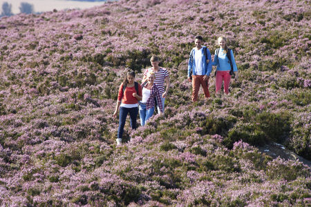 Group Of Young People Hiking Through Countrysideの写真素材