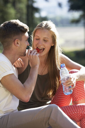 Young Couple Enjoying Picnic In Countrysideの写真素材