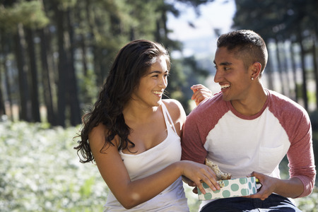 Young Couple Enjoying Picnic In Countrysideの写真素材